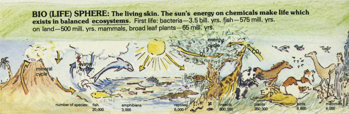 This image has an empty alt attribute; its file name is biosphere.jpg